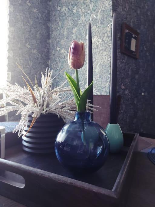 Old Town House Apartment *