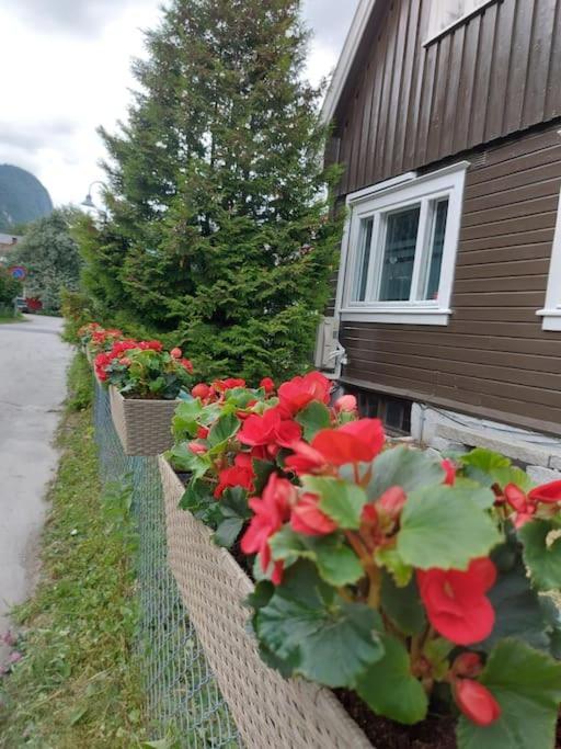 Old Town House * Rjukan